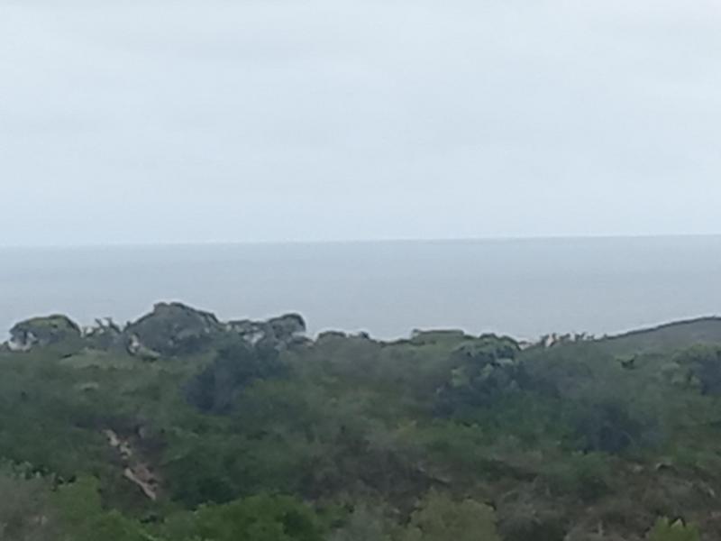 2 Bedroom Property for Sale in Wilderness Western Cape